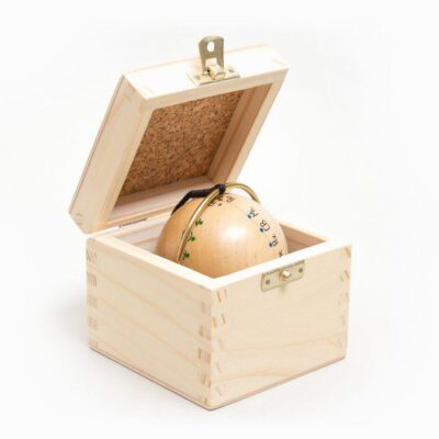 Universal Pendulum box