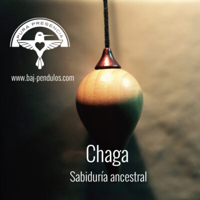 Chaga, Sabiduría Ancestral