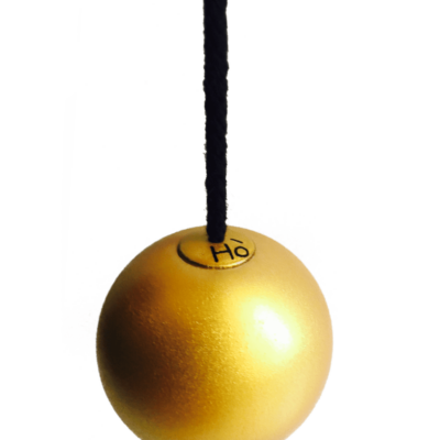 The Ho' Pendulum +Manual