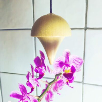 Orchids Pendulum
