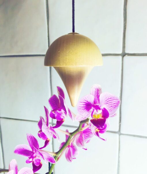 Orchids Pendulum