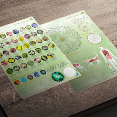 Dowsing and teleradiesthesia chart: Bach Flowers
