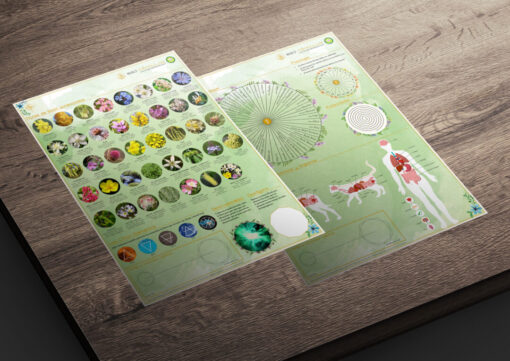 Dowsing and teleradiesthesia chart: Bach Flowers