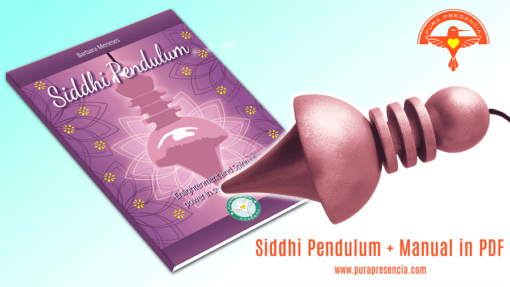 The Siddhi Pendulum + manual