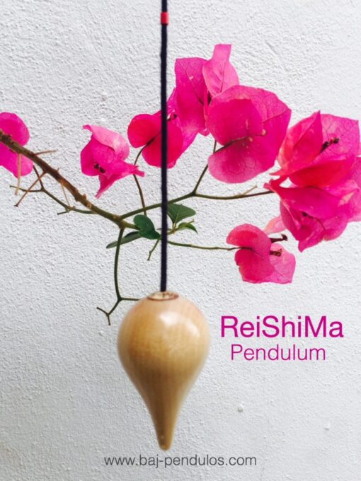 ReiShiMa pendulum