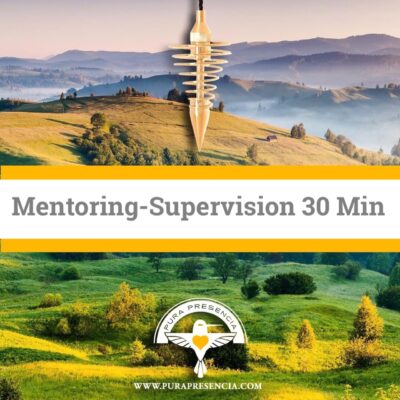 Mentoring session 30 min