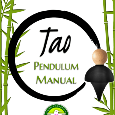 The Tao Pendulum