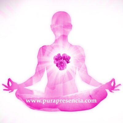 Attunement Healing Roses