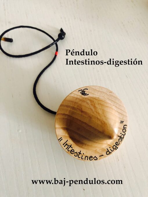 Péndulo Intestinos-digestión
