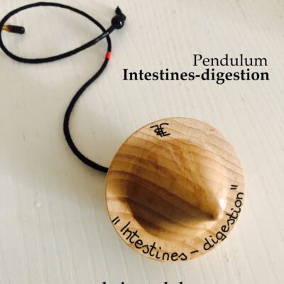 Intestines-digestion pendulum