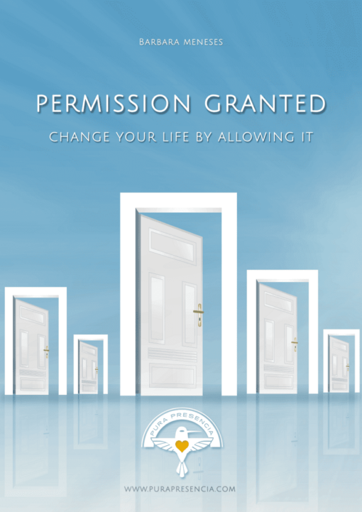 Permission Granted manual