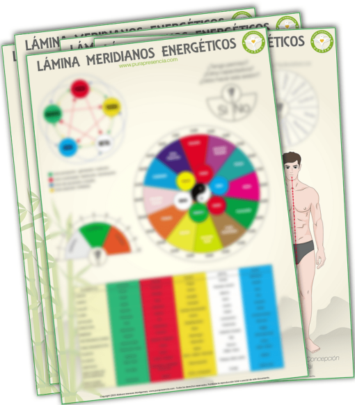 Set de láminas Meridianos