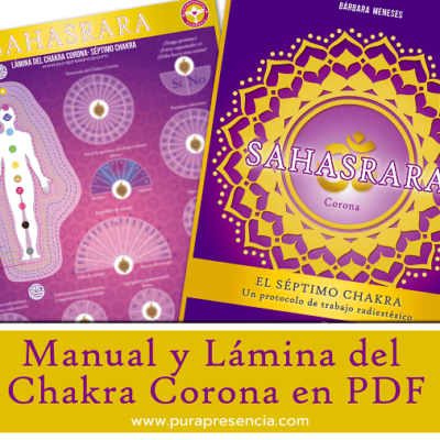 Manual Sahasrara el chakra de la corona