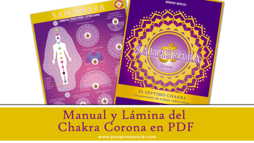 Manual Sahasrara el chakra de la corona