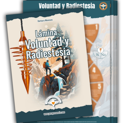 Lámina Voluntad