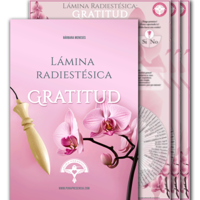 Lámina Gratitud