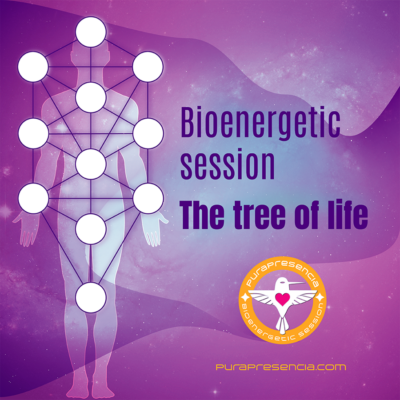 Tree of Life bioenergetic session