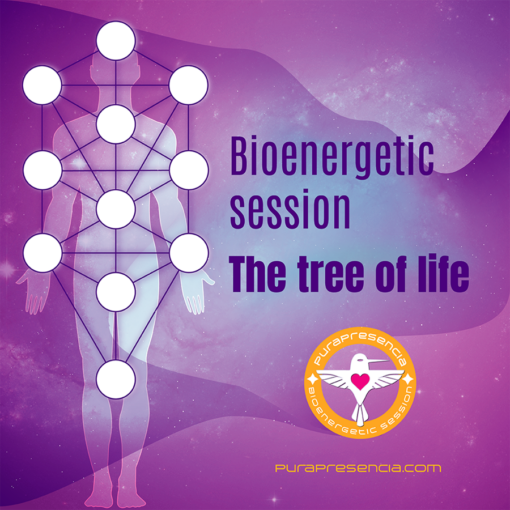 Tree of Life bioenergetic session