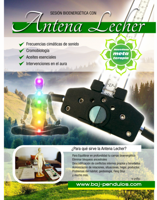 Sesión Bioenergética Antena Lecher