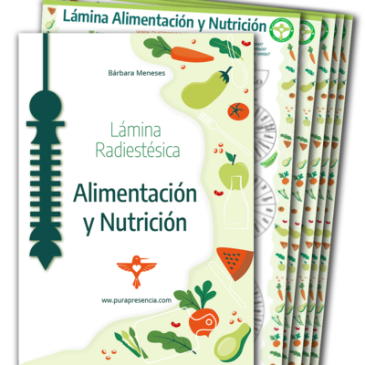 Lámina Alimentos y Nutrición