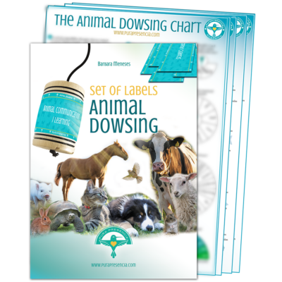 Animal Dowsing set of labels
