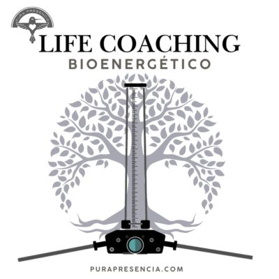 Sesión de Life Coaching