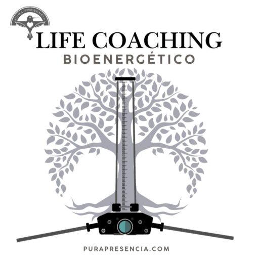 Sesión de Life Coaching