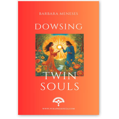Dowsing Twin Souls manual